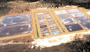 Belize Aquaculture Ltd