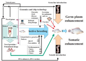 Bioinformatics: The ultimate breeding tool