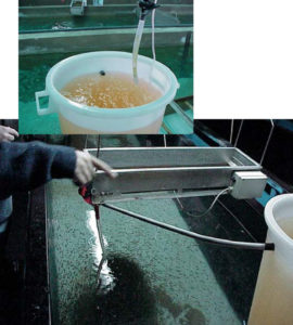 An innovative liquid diet for marine fish larvae