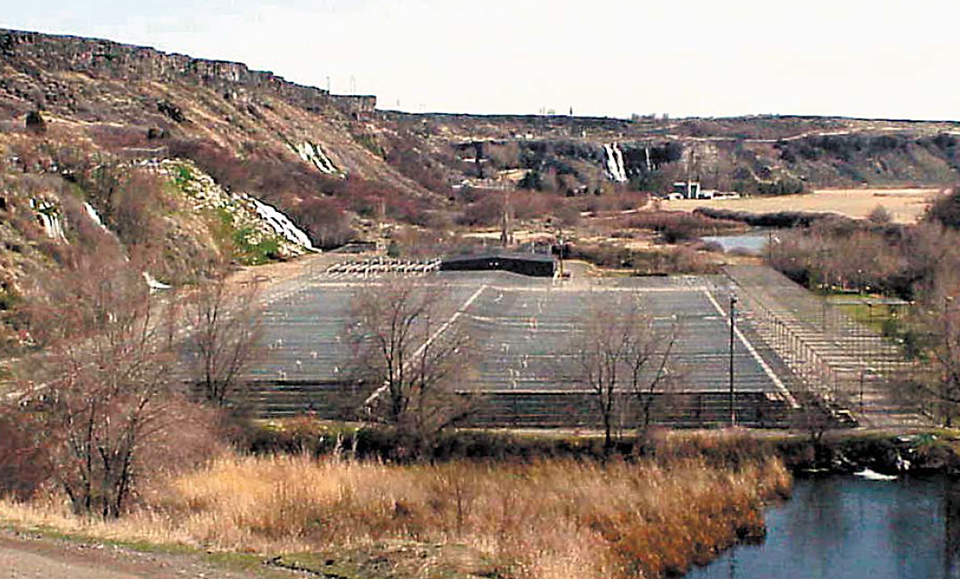 Article image for Advances in the development of low-pollution feeds for salmonids