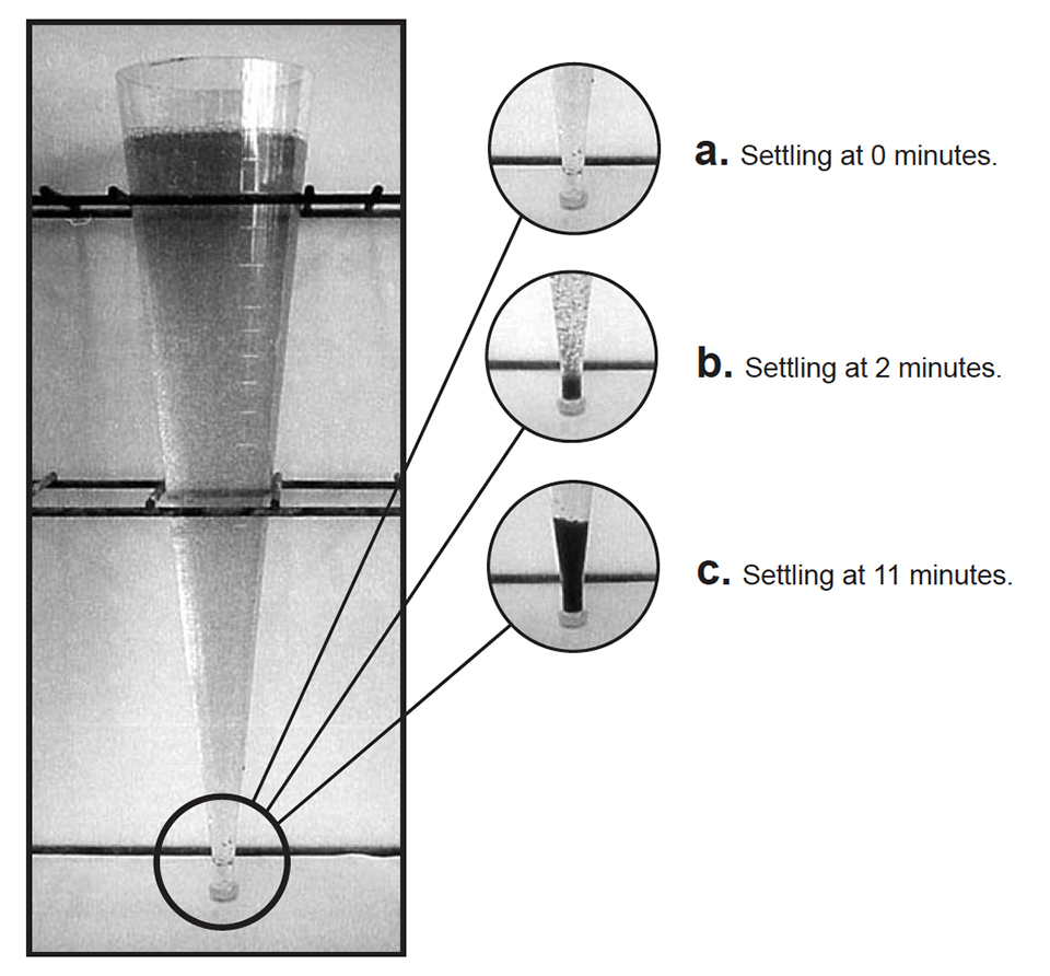 Benefits of a microbially dominated intensive shrimp production system ...
