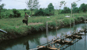 Recirculating shrimp farm systems in Thailand