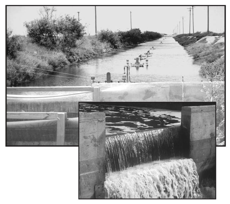 Article image for Reducing water use and waste discharge at a south Texas shrimp farm