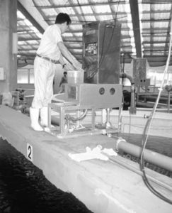 Feed development guidelines for closed indoor farming systems