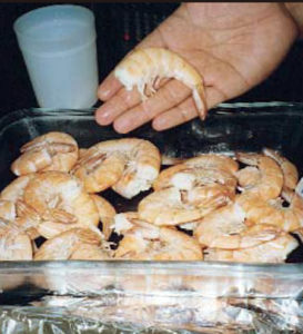 Design considerations for a modern shrimp-cooking facility