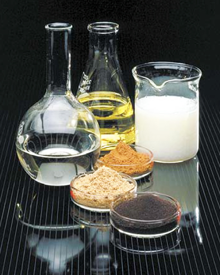Article image for Rendered animal byproducts: A necessity in aquafeeds for the new millennium
