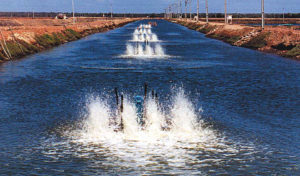 water quality standards