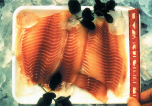 Evolution of processed tilapia products in the U.S. market
