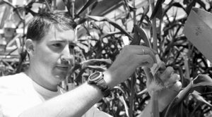 Development of edible vaccines for aquaculture