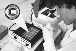 Dual detection in shrimp disease prevention