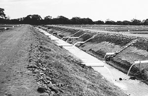 aquaculture effluents