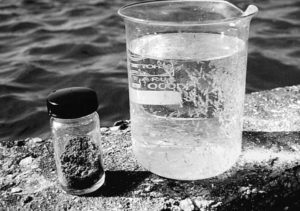 Advances in shrimp postlarval nutrition