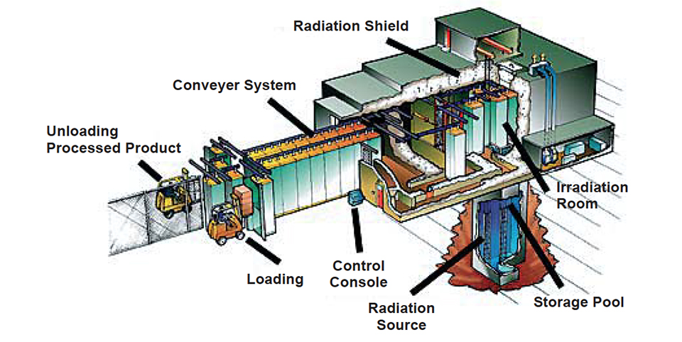 Article image for Irradiation: Expanding seafood’s safety arsenal