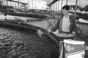 Feed management for RAS, part 2