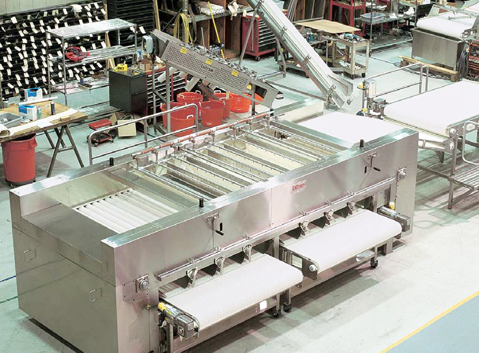 Making the grade A comparison of shrimp grading systems Responsible