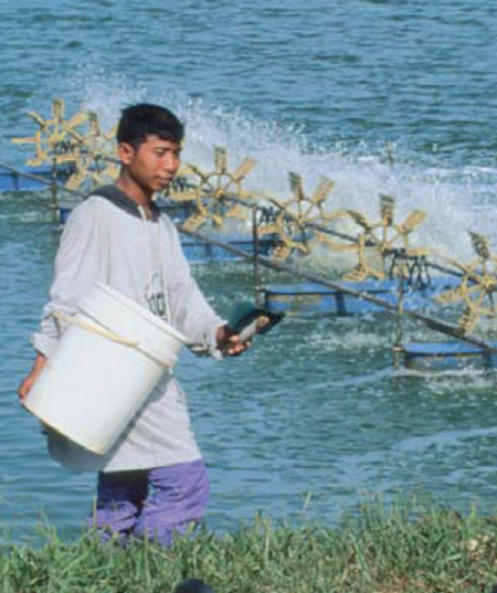 Advantages of aerated microbial reuse systems with balanced C:N, part 3 ...