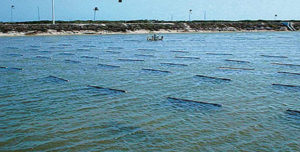 substrate technology