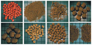 Extrusion production of aquatic feeds