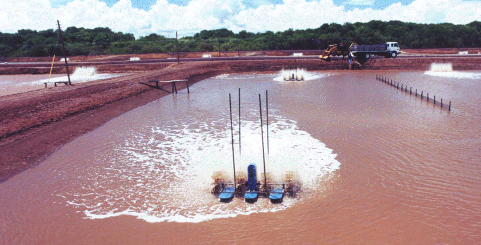 Article image for Aeration, mixing and sludge control in shrimp ponds