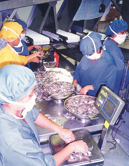 Article image for Use of ozone in seafood processing