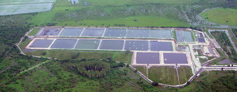 Article image for First commercial inland farm in Florida uses zero discharge in low-salinity