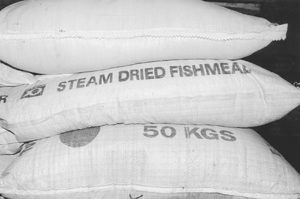 IFOAM drafts basic standards for organic aquaculture production