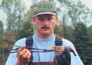 Research examines feeding regimes for freshwater prawns