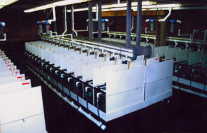 Nitrogen management for shrimp nutrition in low water-exchange production systems