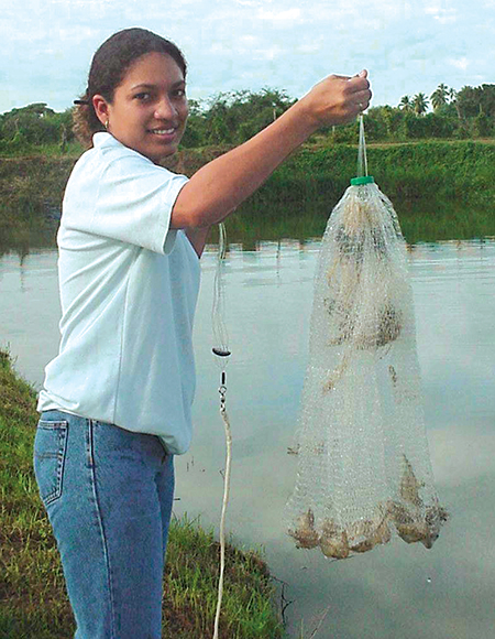 Article image for Freshwater trial with Litopenaeus vannamei leads to further stocking in Panama