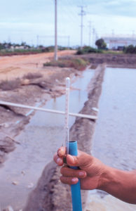 Dissolved salts in water for inland, low-salinity shrimp culture