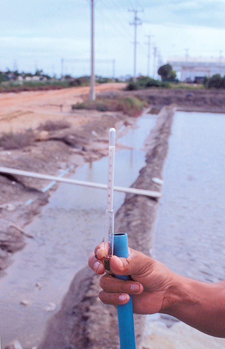 Article image for Dissolved salts in water for inland, low-salinity shrimp culture