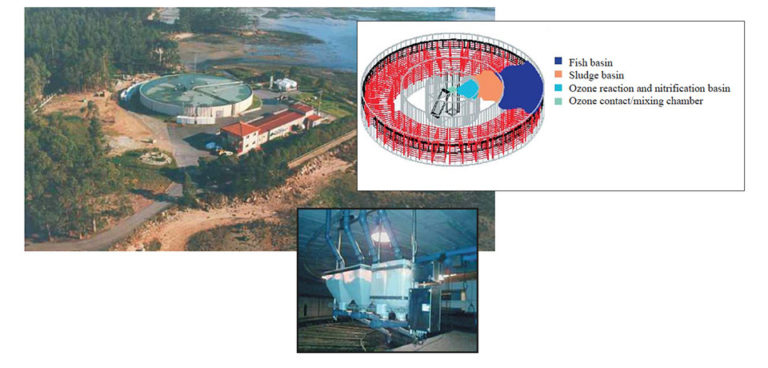 Article image for Recirculating plant in Spain produces turbot