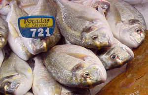 Supplemented feeds stimulate immune systems of gilthead sea bream