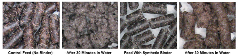 Article image for Water stability, texture of shrimp feeds formulated with natural, synthetic binders