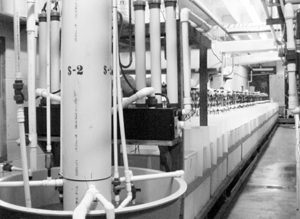 Fatty acid nutrition