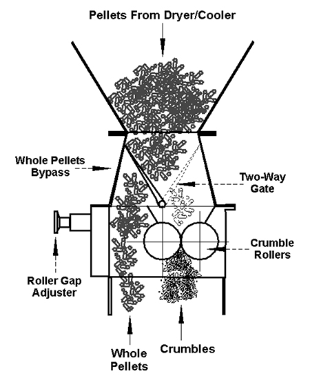 Article image for Pelleting process, Part 2