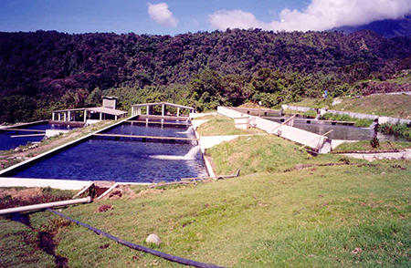 Article image for Land and water use issues in aquaculture