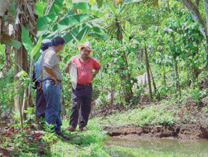Small-scale tilapia producers find success in Honduras