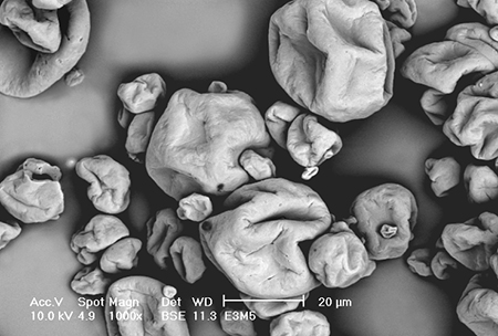 Article image for Microencapsulated, composite-wall diets compare well to commercial feeds for shrimp larvae