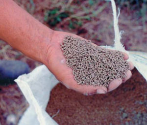Antinutritional factors limit use of plant feedstuffs