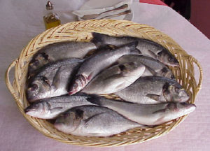 Fishmeal, fish oil replacements in sea bream, sea bass diets need nutritional compensation