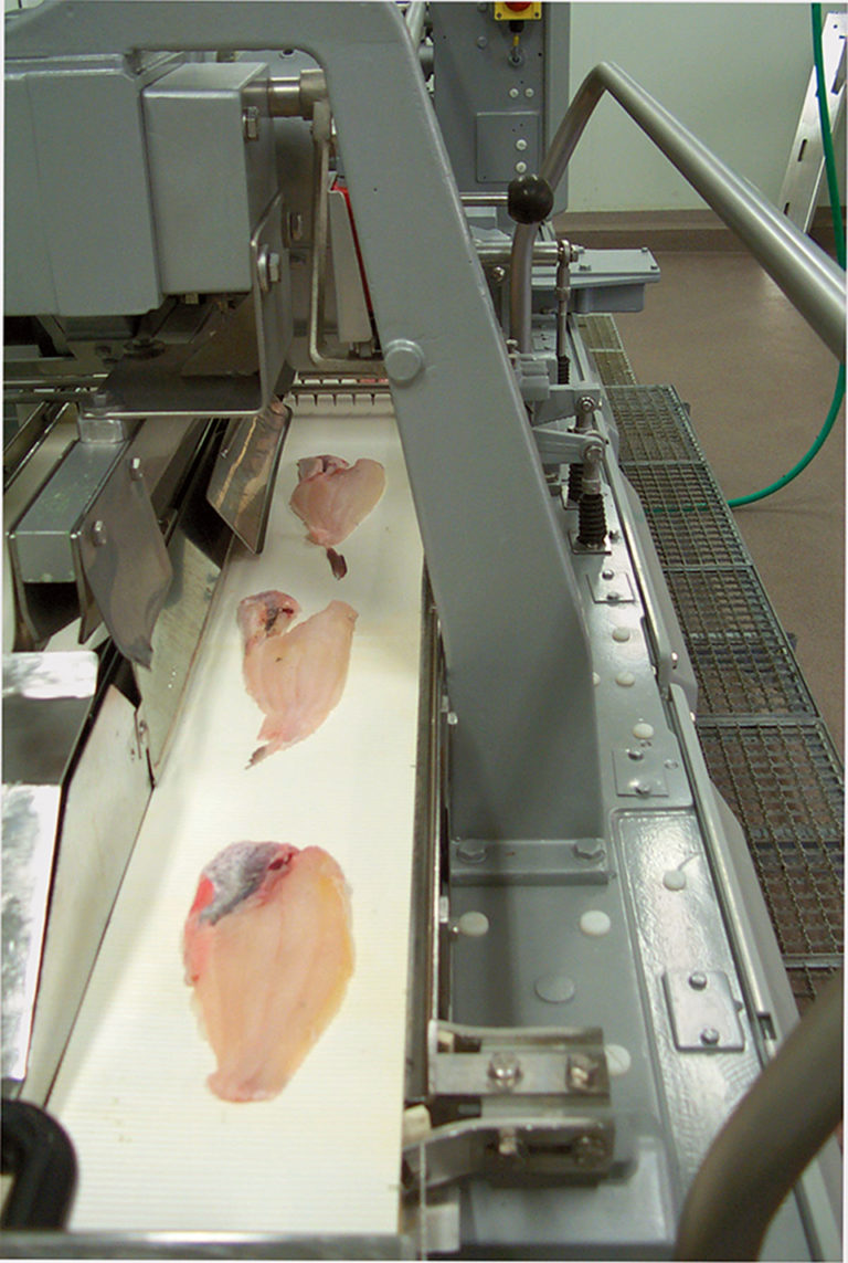 Article image for CLA-enriched diets improve health benefits of catfish fillets