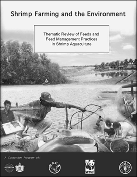 Article image for Report reviews feed practices in shrimp aquaculture