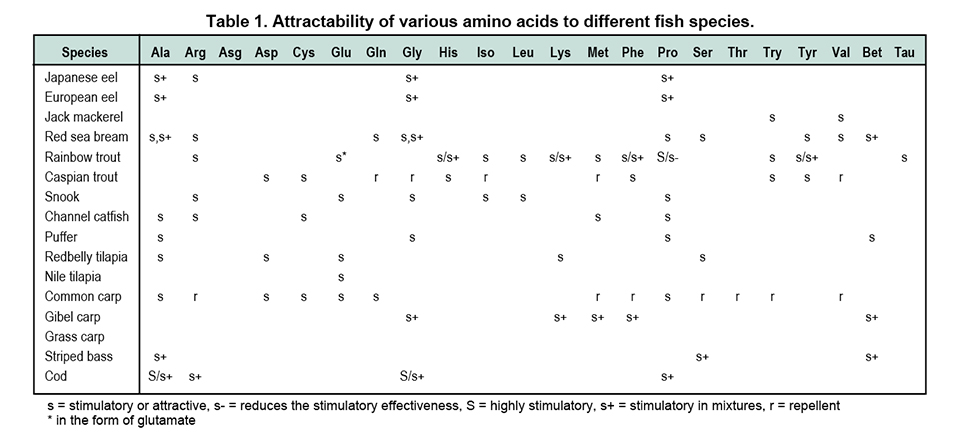 Article image for Attractants: The basics