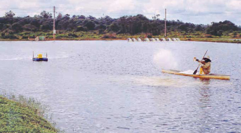 Article image for Chemical fertilizers in pond aquaculture