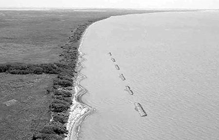 Article image for Lightweight oyster reefs reduce coastal erosion