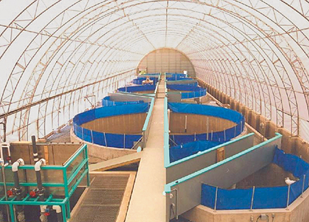 Article image for Survey defines RAS finfish aquaculture in United States, Canada