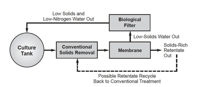 Ras Filtration Process Membrane filtration: Emerging technology removes fine solids from ...