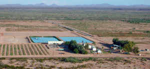 desert shrimp farming