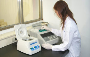 shrimp virus detection